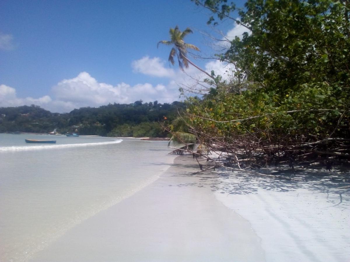 Maison Amantine Anse Royale Esterno foto