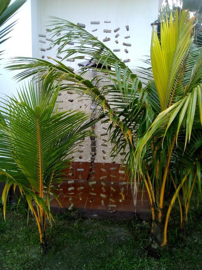 Maison Amantine Anse Royale Esterno foto